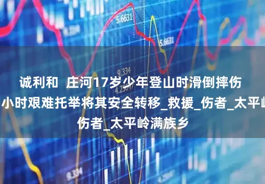 诚利和  庄河17岁少年登山时滑倒摔伤 消防员3小时艰难托举将其安全转移_救援_伤者_太平岭满族乡