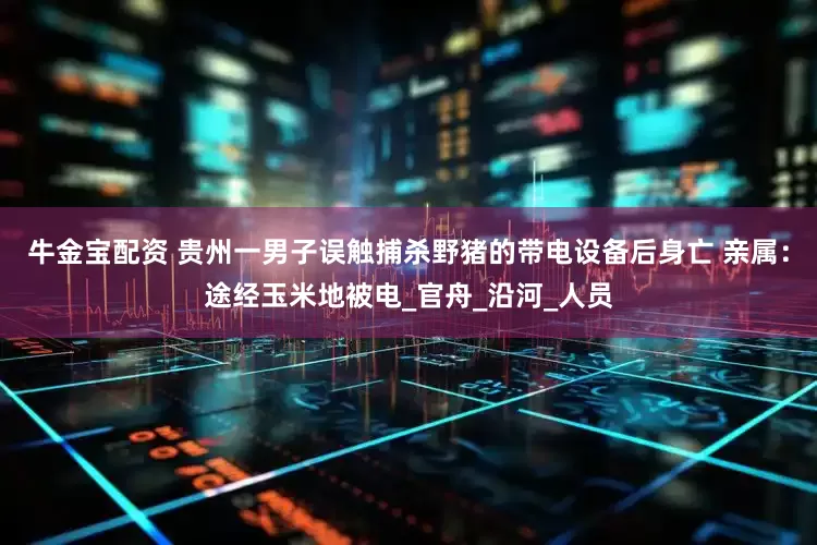 牛金宝配资 贵州一男子误触捕杀野猪的带电设备后身亡 亲属：途经玉米地被电_官舟_沿河_人员