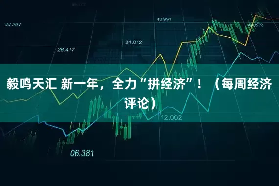 毅鸣天汇 新一年，全力“拼经济”！（每周经济评论）