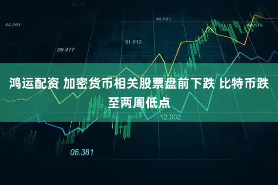 鸿运配资 加密货币相关股票盘前下跌 比特币跌至两周低点