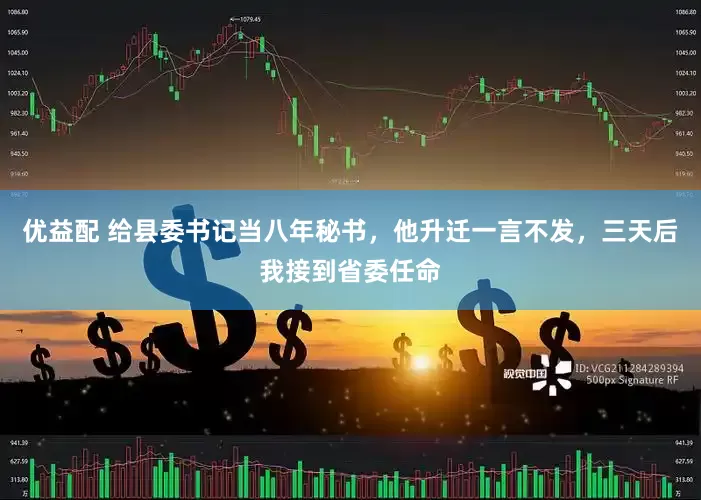 优益配 给县委书记当八年秘书,他升迁一言不发,三天后我接到省委任命